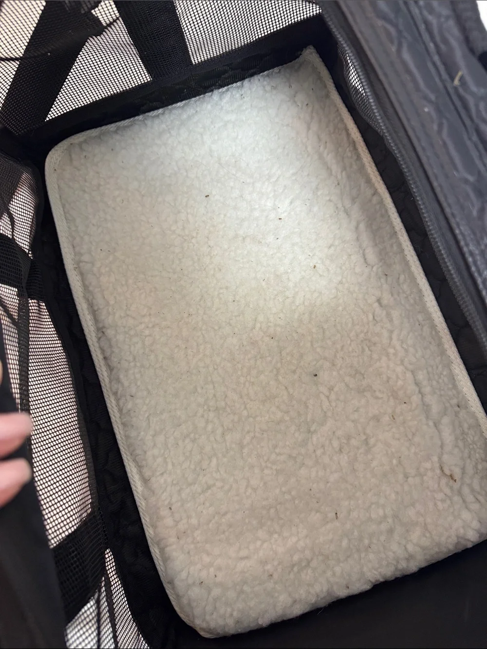 Quilted Black Mesh Pet Carrier
